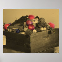 Country Fair Fruit Prize Sepia Partial Colour