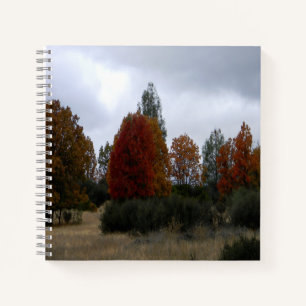Country Fall colours.... Notebook