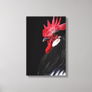 Country Farm Rooster Black Red White Chicken Photo Canvas Print