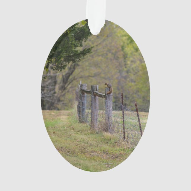 Country Fence and A Squirrel Ornament (Back)