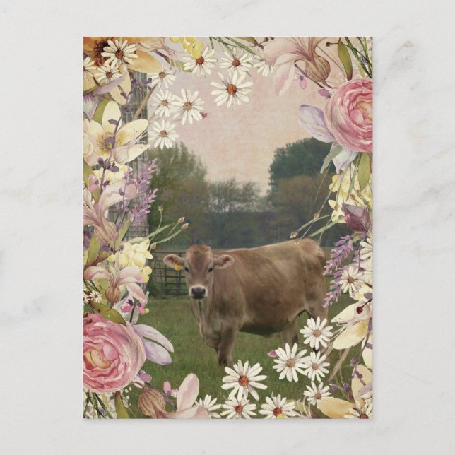 Country Flowers Jersey Cow Postcard (Front)