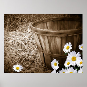 Country Flowers Poster