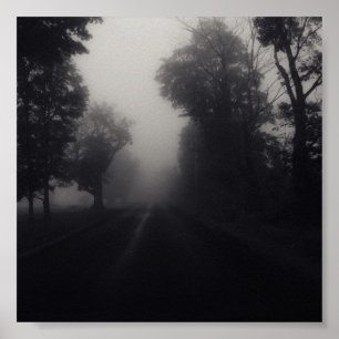 country fog poster