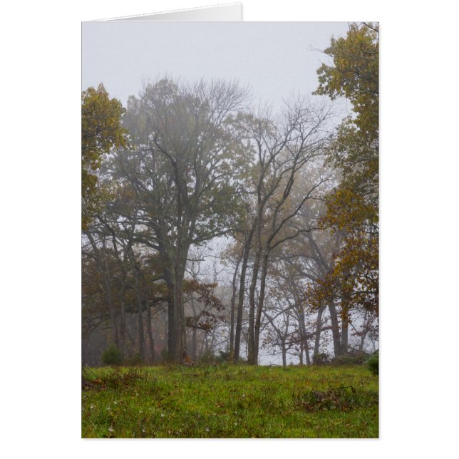 Country Foggy Fall Morning (Front)
