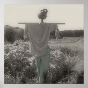 Country Garden Scarecrow Partial Colour Poster