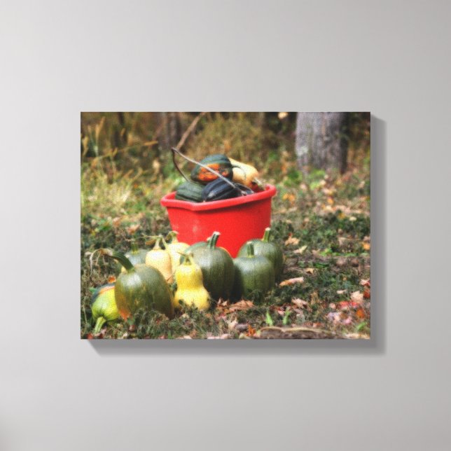 Country Garden Squash Harvest  Canvas Print (Front)