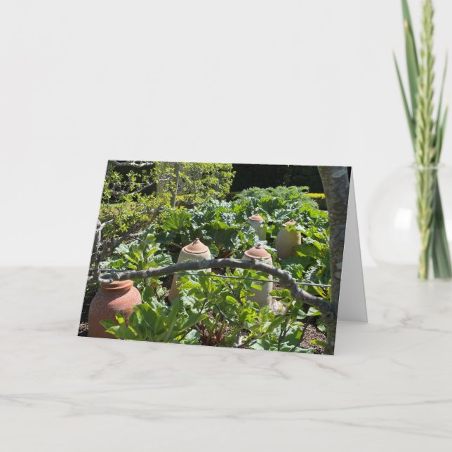 Country Garden with Rhubarb and Terracotta Pots  Card (Front)