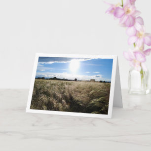Country Grass Sunrise Landscape Card