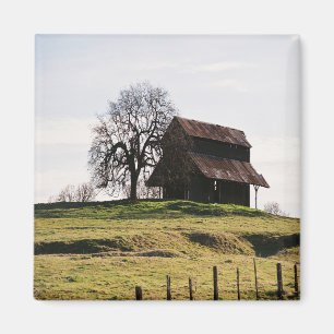 Country in the Fall...... Magnet