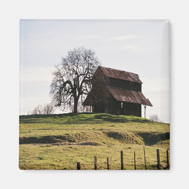 Country in the Fall...... Magnet (Front)