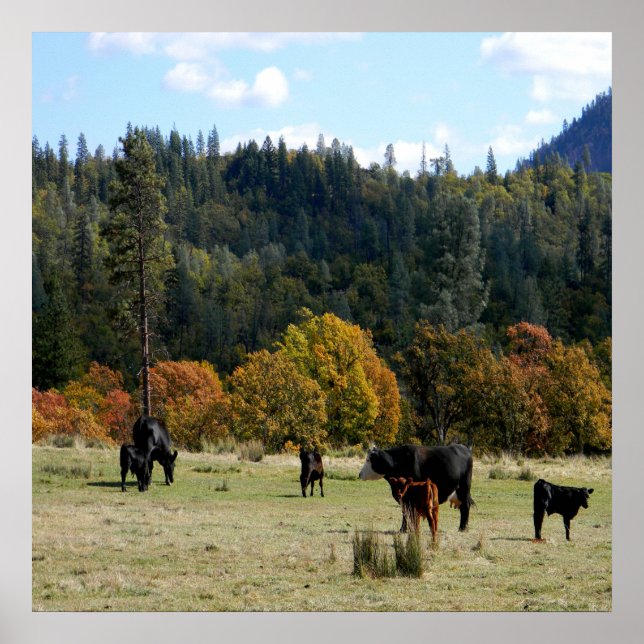 Country in the Fall... Poster (Front)