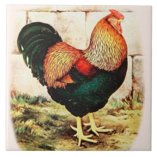 Country Kitchen Decorative Wall Tile Fancy Rooster