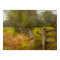 Country - Landscape - Lazy meadows