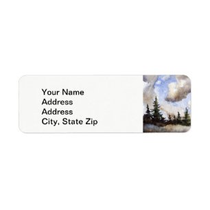 Country landscapes and scenic views pines, fog