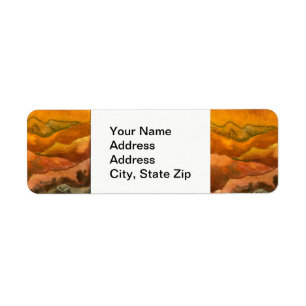 Country landscapes and scenic views sunrise pines.