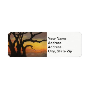Country landscapes and scenic views sunset trees.