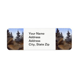 Country landscapes clear summer  sky rocks pine.