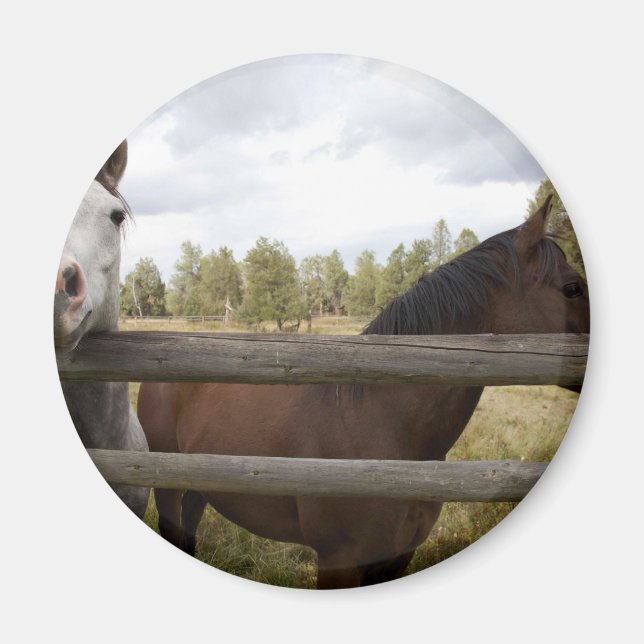 COUNTRY LANDSCAPES MAGNET (Front)