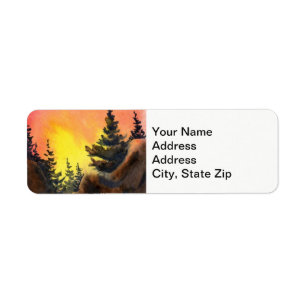 Country landscapes sunrise sunset sky rocks pine.