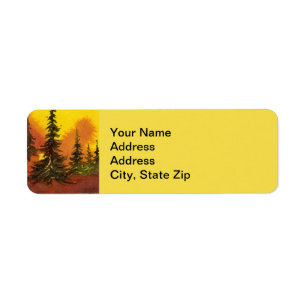 Country landscapes yellow sunrise sunset sky pine.