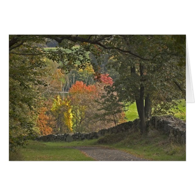 Country Lane (Front Horizontal)