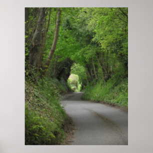 Country Lane Poster