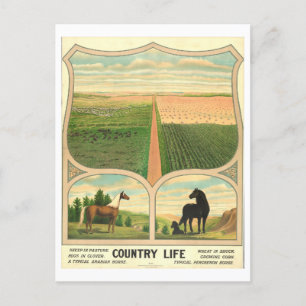 Country Life Farming Vintage Lithograph Postcard
