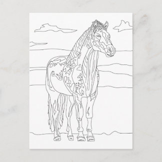 Country Living Horse Postcard