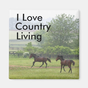 Country Living Horses playing Magnet