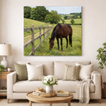 Country Meadow Horse