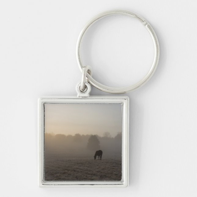 Country Morning Key Ring (Front)