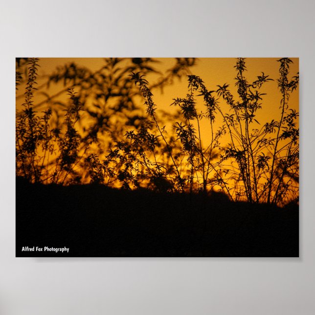 Country Orange Sunset Silhouette Poster (Front)