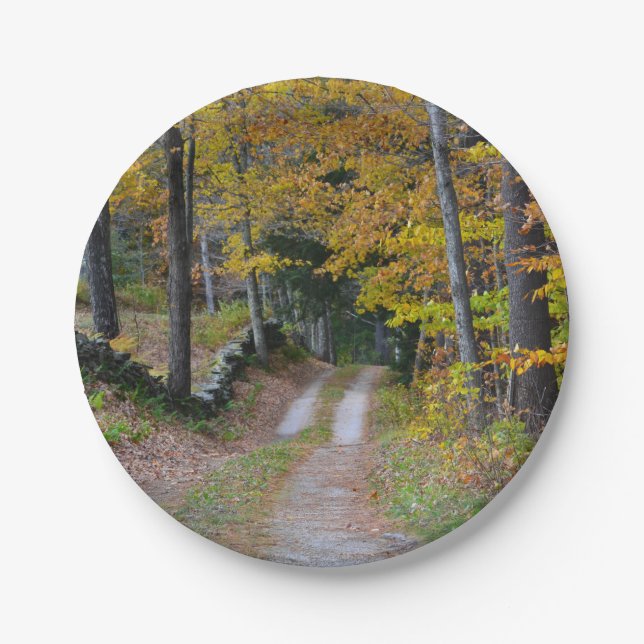 Country Path Paper Plate (Front)