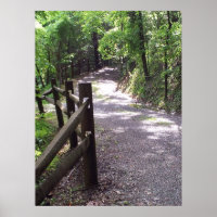 Country Path Print Poster Artwork Wall Mural