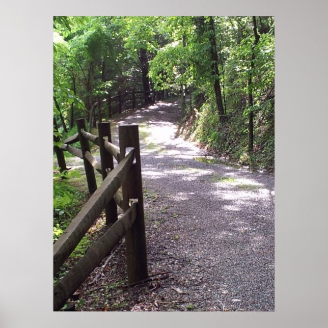 Country Path Print Poster Artwork Wall Mural (Front)