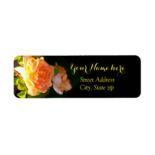 Country Peach Roses