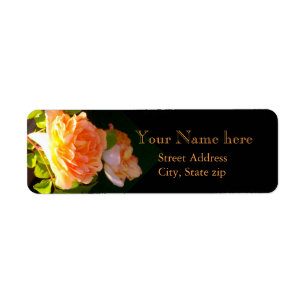 Country Peach Roses