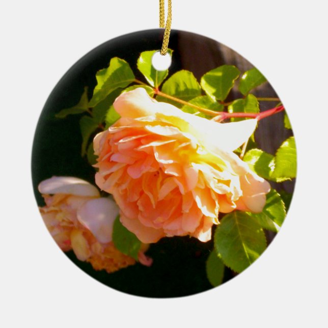 Country Peach Roses Ceramic Tree Decoration (Front)