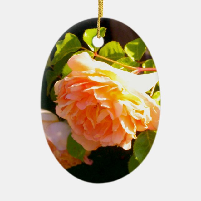 Country Peach Roses Ceramic Tree Decoration (Front)