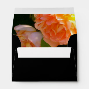 Country Peach Roses Envelopes
