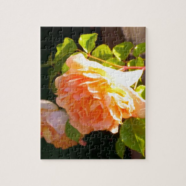 Country Peach Roses Jigsaw Puzzle (Vertical)
