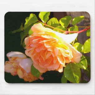 Country Peach Roses Mouse Mat