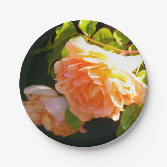Country Peach Roses Paper Plate (Front)