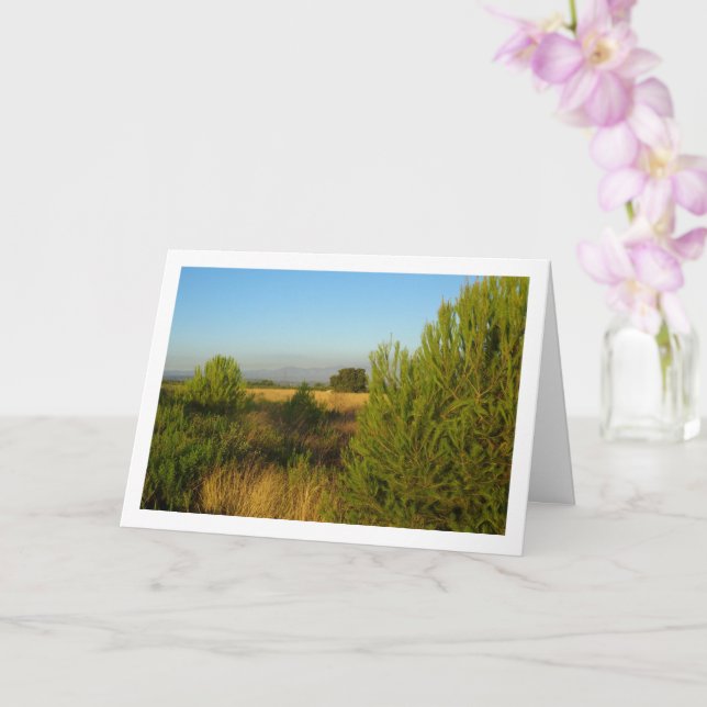 Country Pine Trees Card (Orchid)