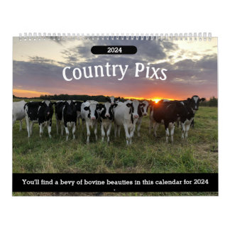 Country Pixs Cow Calendar 2024
