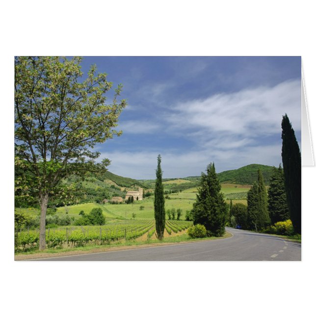 Country road curving between cypress trees in (Front Horizontal)