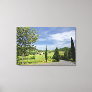 Country road curving between cypress trees in canvas print