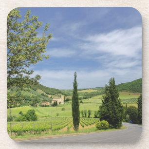 Country road curving between cypress trees in coaster