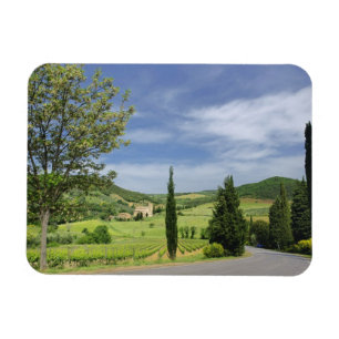 Country road curving between cypress trees in magnet