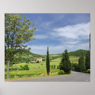 Country road curving between cypress trees in poster